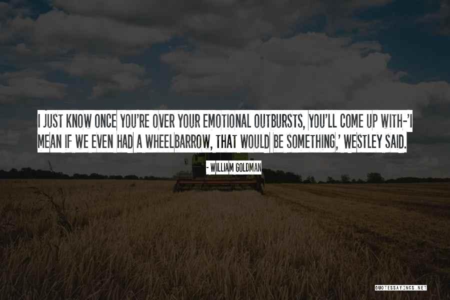 Wheelbarrow Quotes By William Goldman Wheelbarrow Quotes By William Goldman
