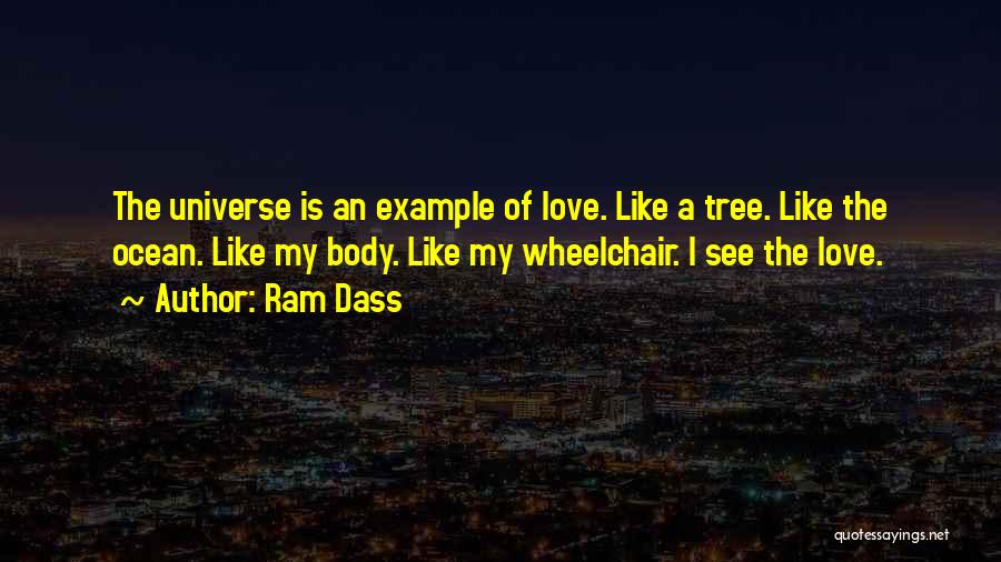 Wheelchair Quotes By Ram Dass