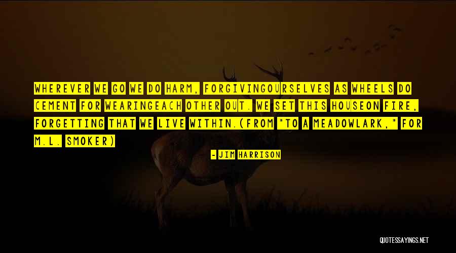 Wheels Of Wish Quotes By Jim Harrison Wheels Of Wish Quotes By Jim Harrison