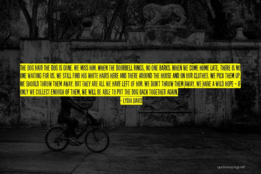 When All Hope Is Gone Quotes By Lydia Davis When All Hope Is Gone Quotes By Lydia Davis