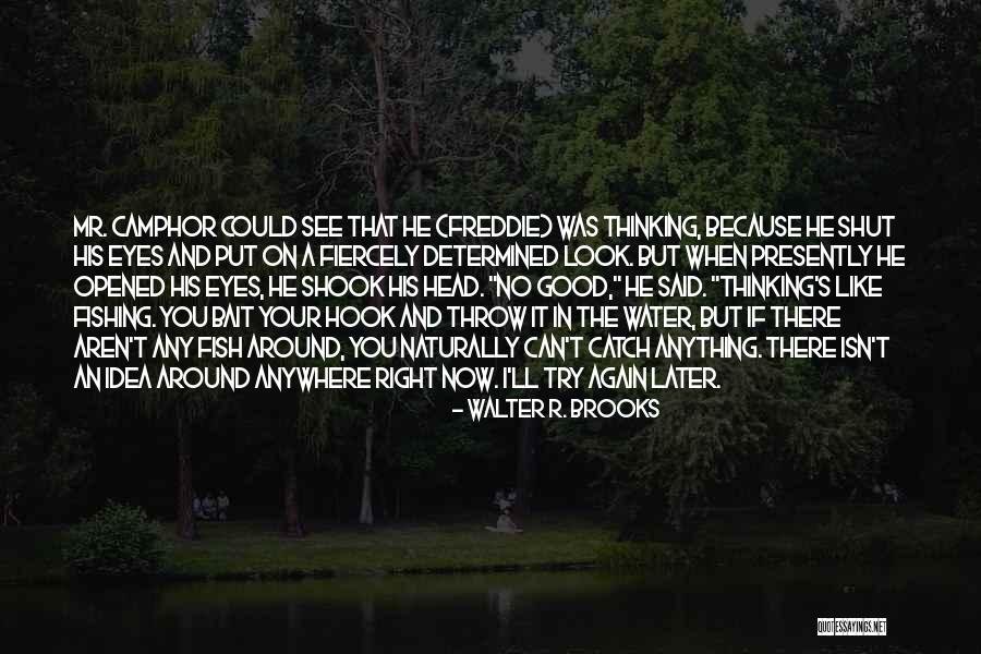 When Can I See You Again Quotes By Walter R. Brooks