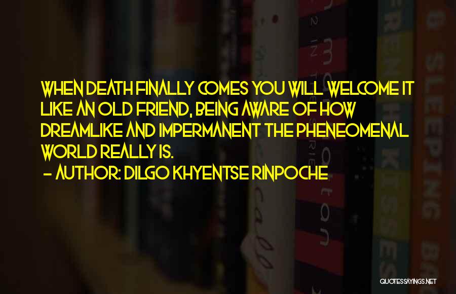 When Death Comes Quotes By Dilgo Khyentse Rinpoche