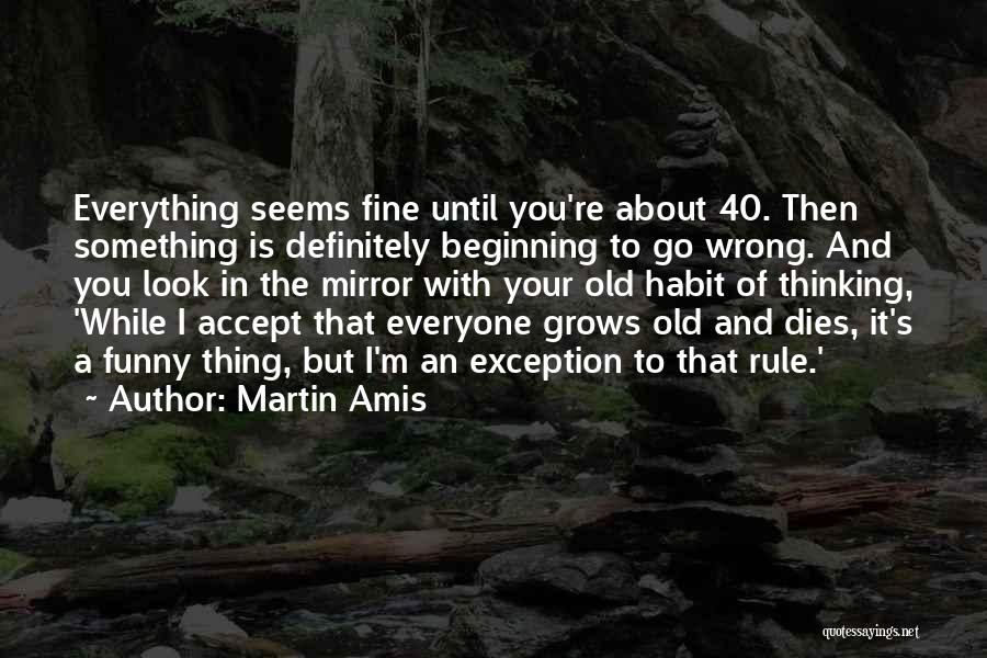 When Everything Seems To Be Going Wrong Quotes By Martin Amis