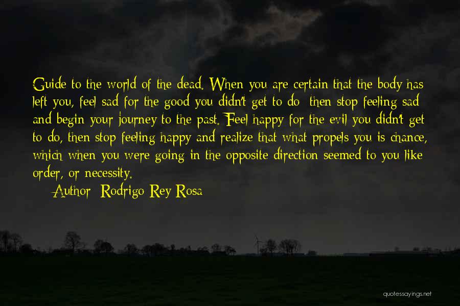When Feeling Sad Quotes By Rodrigo Rey Rosa