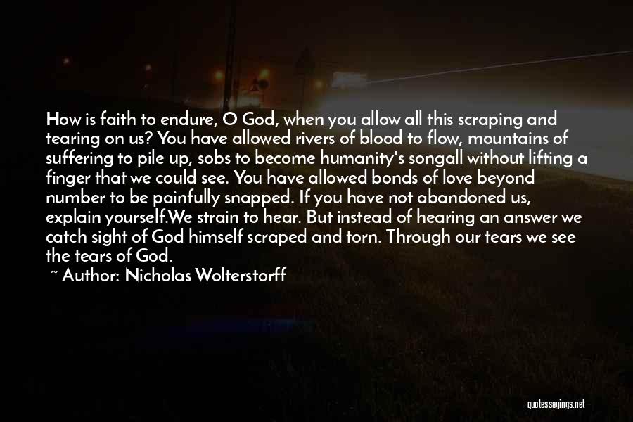 When God Is All You Have Quotes By Nicholas Wolterstorff