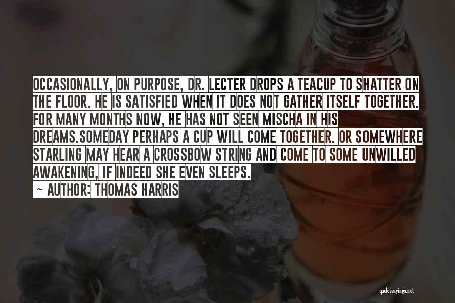 When He Sleeps Quotes By Thomas Harris