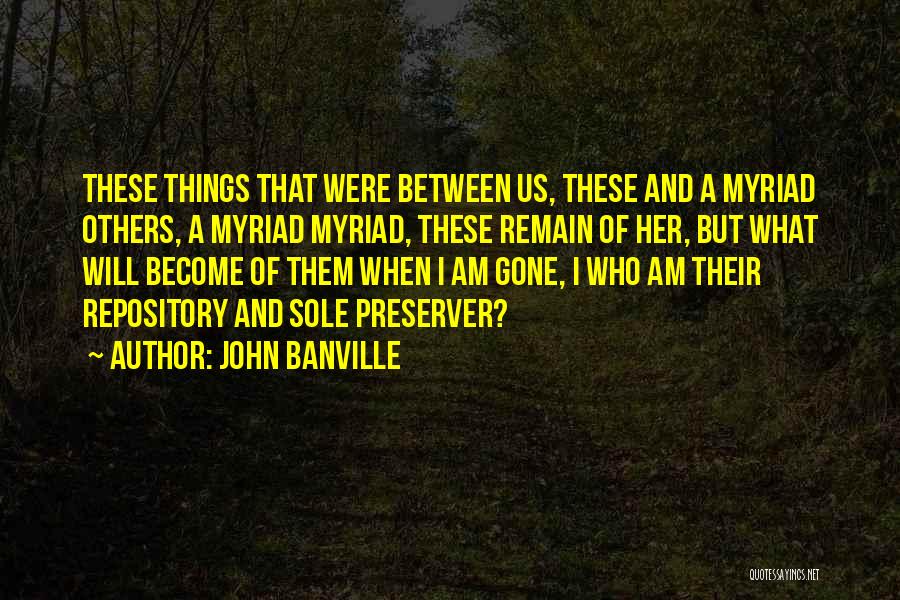 When I Am Gone Quotes By John Banville