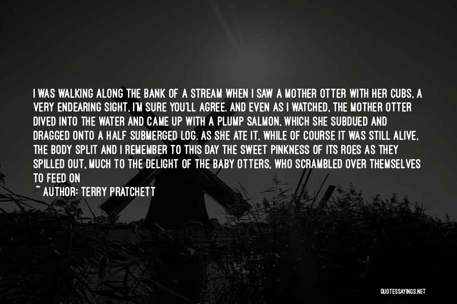 When I First Saw You Baby Quotes By Terry Pratchett