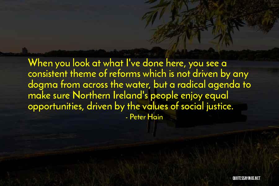 When I Look At You Quotes By Peter Hain