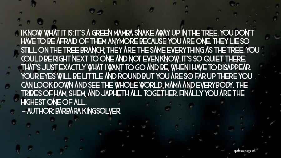 When I Look In Your Eyes Quotes By Barbara Kingsolver