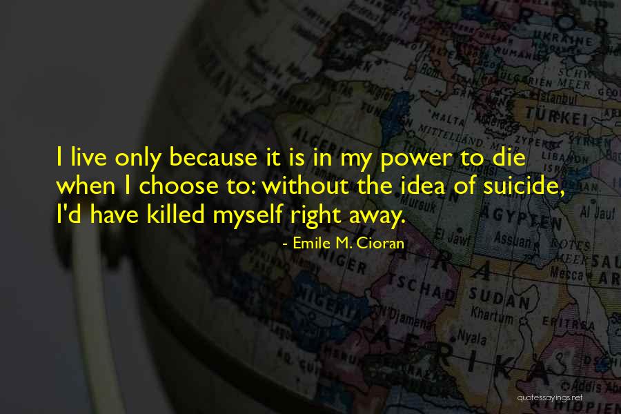 When I M Die Quotes By Emile M. Cioran