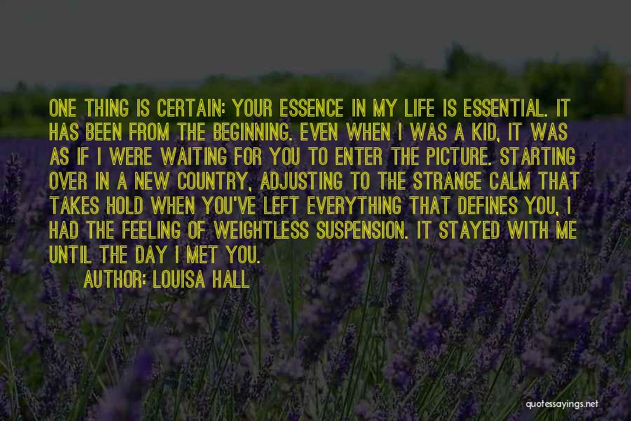 When I Met You Quotes By Louisa Hall