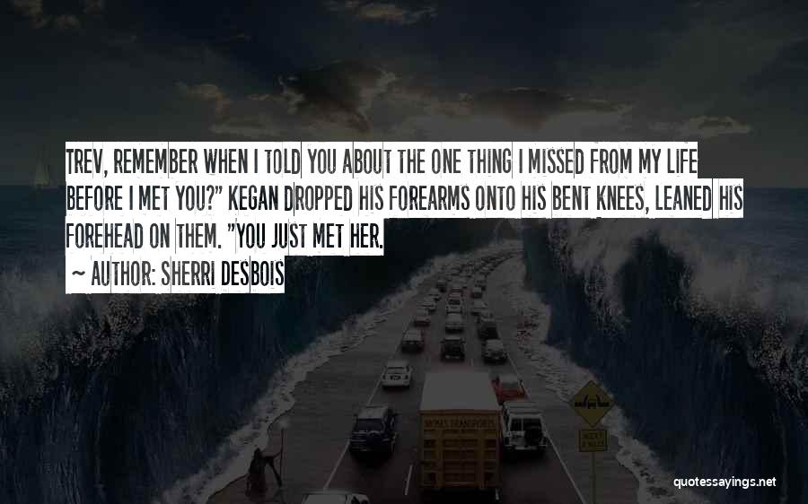 When I Met You Quotes By Sherri Desbois