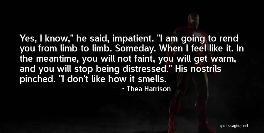 When I Said Yes Quotes By Thea Harrison When I Said Yes Quotes By Thea Harrison