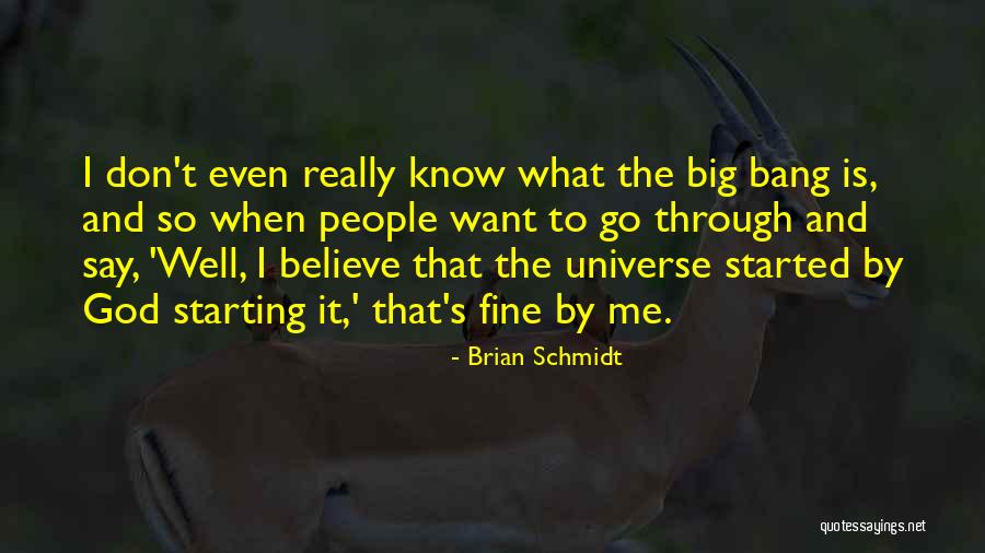 When I Say I'm Fine Quotes By Brian Schmidt