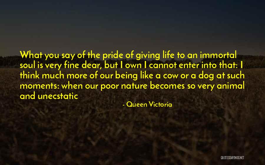 When I Say I'm Fine Quotes By Queen Victoria