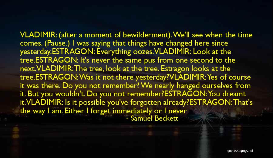 When I See You I Forget Everything Quotes By Samuel Beckett