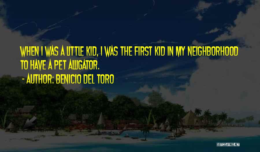 When I Was A Little Kid Quotes By Benicio Del Toro