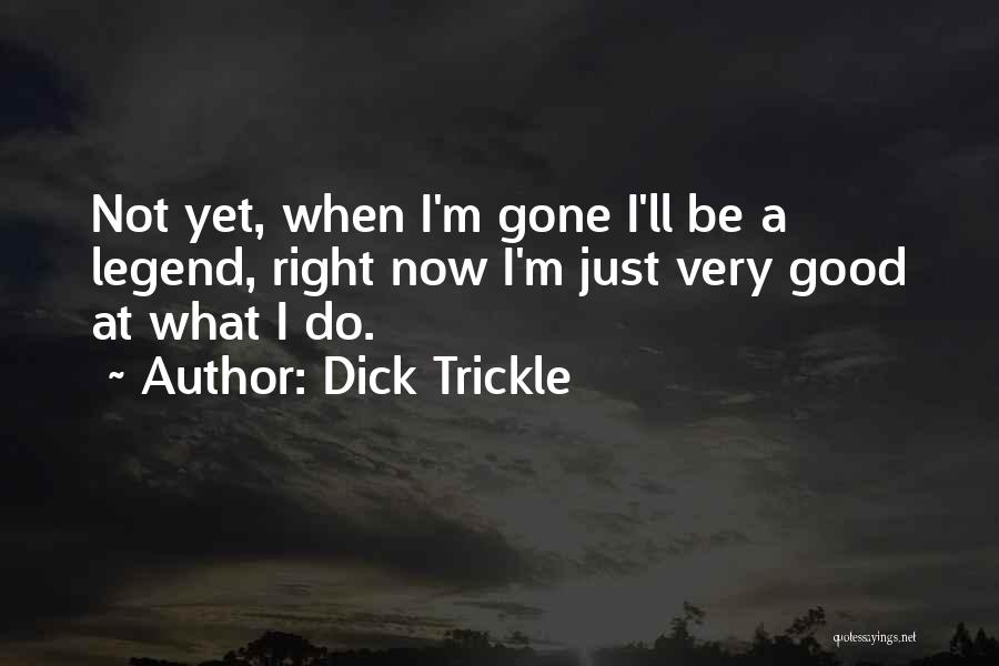 When I'll Be Gone Quotes By Dick Trickle