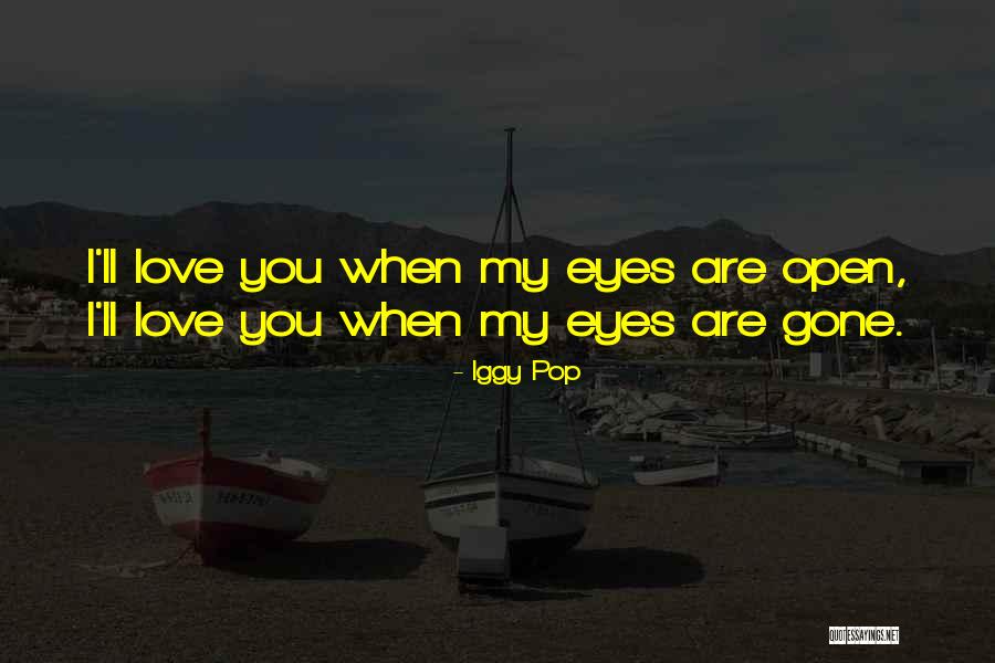 When I'm Gone Love Quotes By Iggy Pop When I'm Gone Love Quotes By Iggy Pop