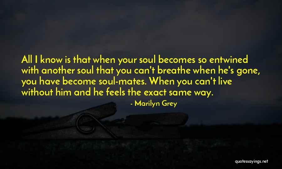 When I'm Gone Love Quotes By Marilyn Grey When I'm Gone Love Quotes By Marilyn Grey