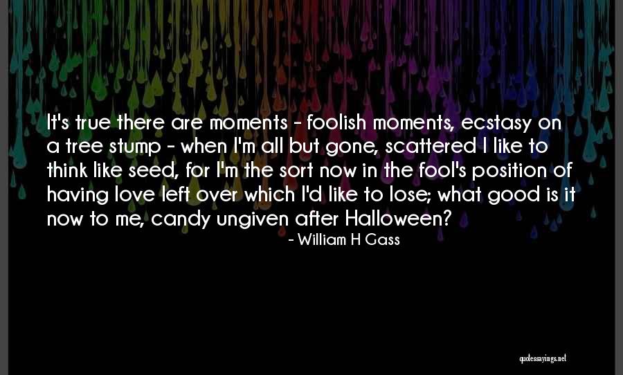 When I'm Gone Love Quotes By William H Gass When I'm Gone Love Quotes By William H Gass