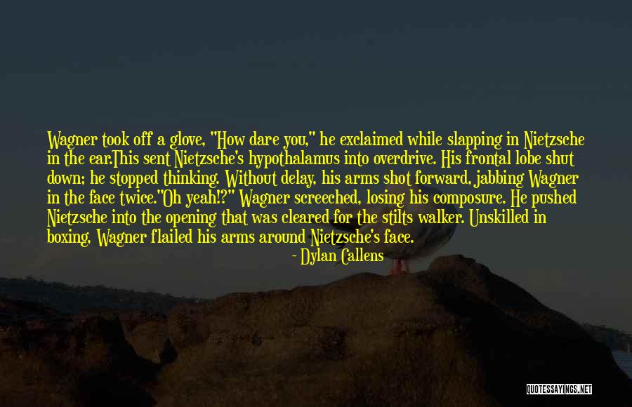 When Intellectuals Fight Quotes By Dylan Callens