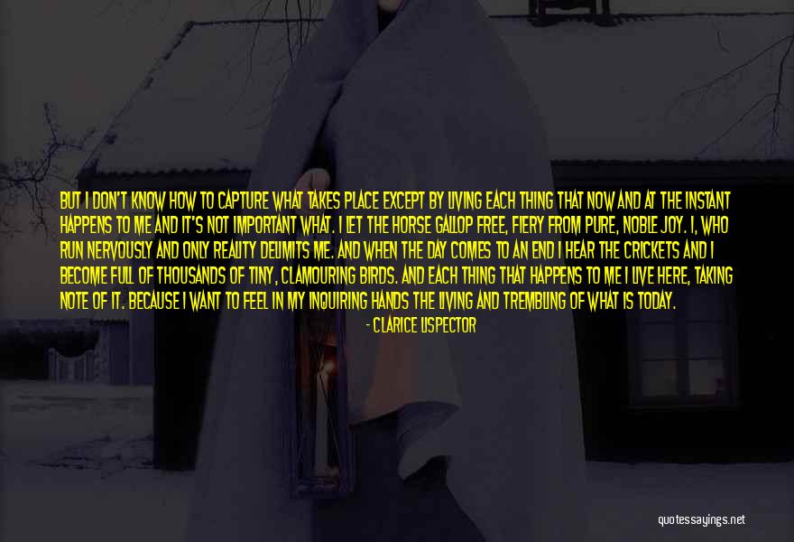 When It Comes To An End Quotes By Clarice Lispector When It Comes To An End Quotes By Clarice Lispector