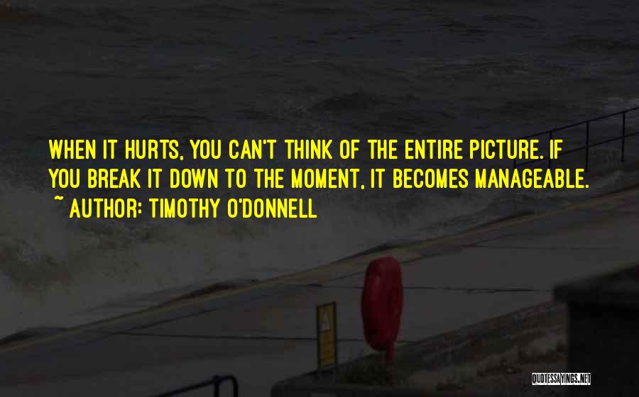 When It Hurts The Most Quotes By Timothy O'Donnell