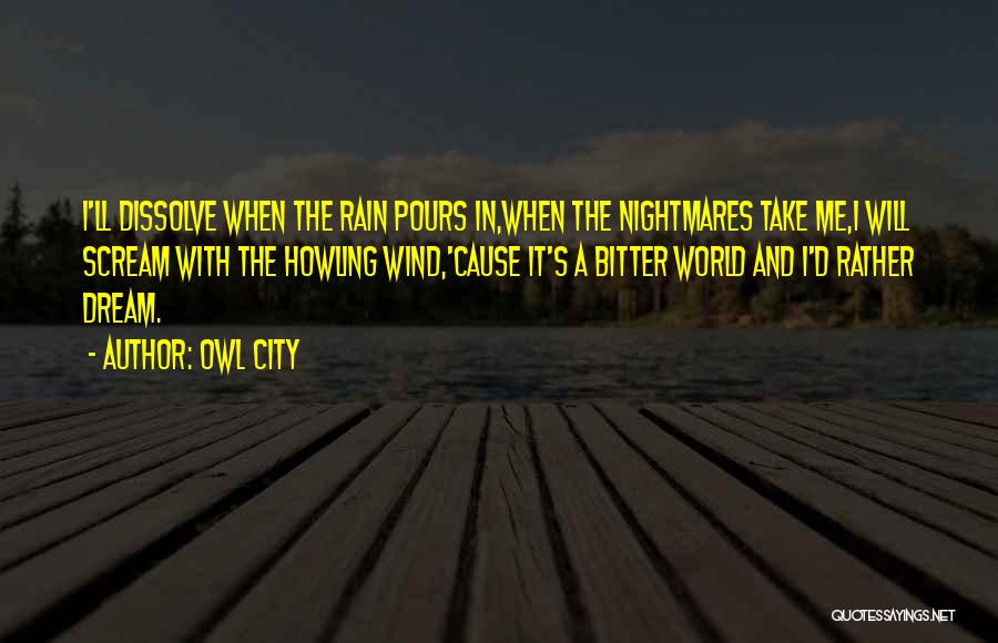 When It Rain It Pours Quotes By Owl City