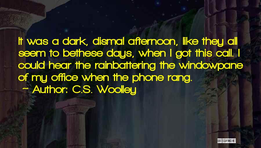 When It Rain Quotes By C.S. Woolley