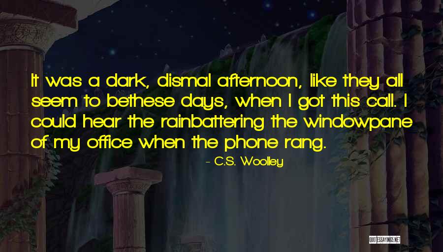 When It Rain Quotes By C.S. Woolley