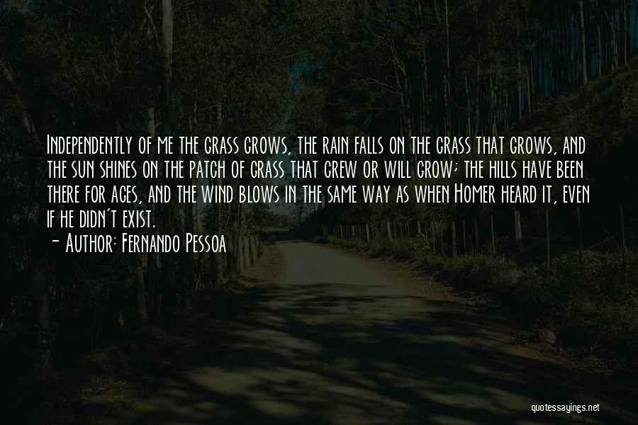 When It Rain Quotes By Fernando Pessoa