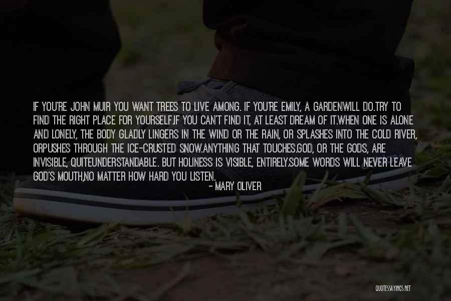 When It Rain Quotes By Mary Oliver When It Rain Quotes By Mary Oliver