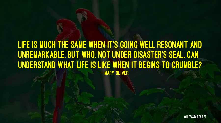 When Life Begins Quotes By Mary Oliver When Life Begins Quotes By Mary Oliver