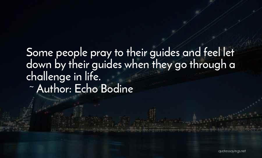 When Life Challenges Quotes By Echo Bodine