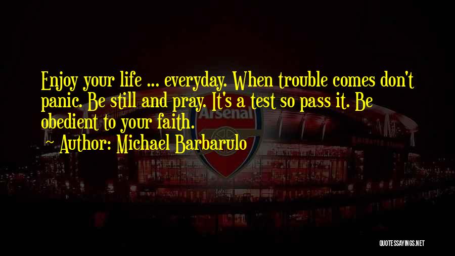 When Life Challenges Quotes By Michael Barbarulo
