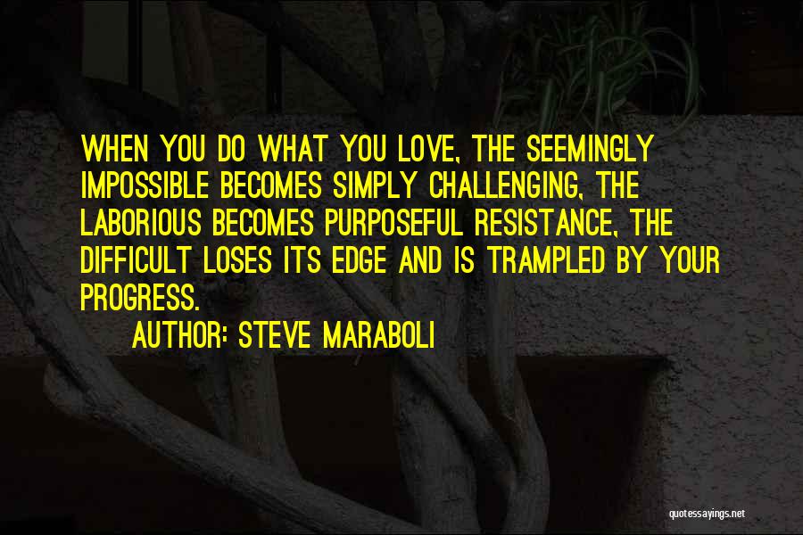 When Life Challenges Quotes By Steve Maraboli