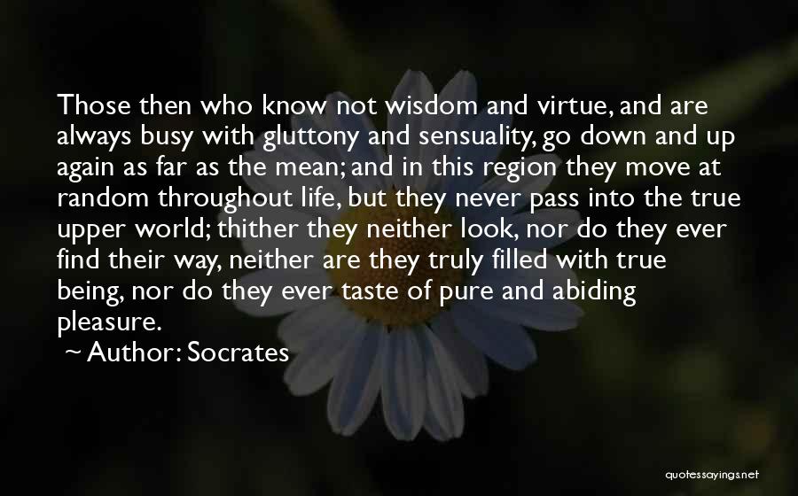 When Life Gets Busy Quotes By Socrates