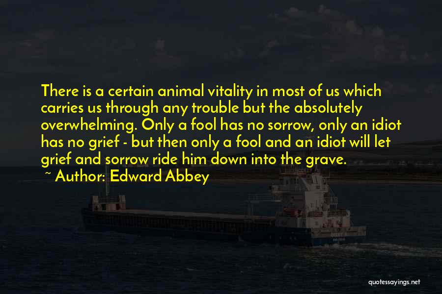 When Life Gets Overwhelming Quotes By Edward Abbey