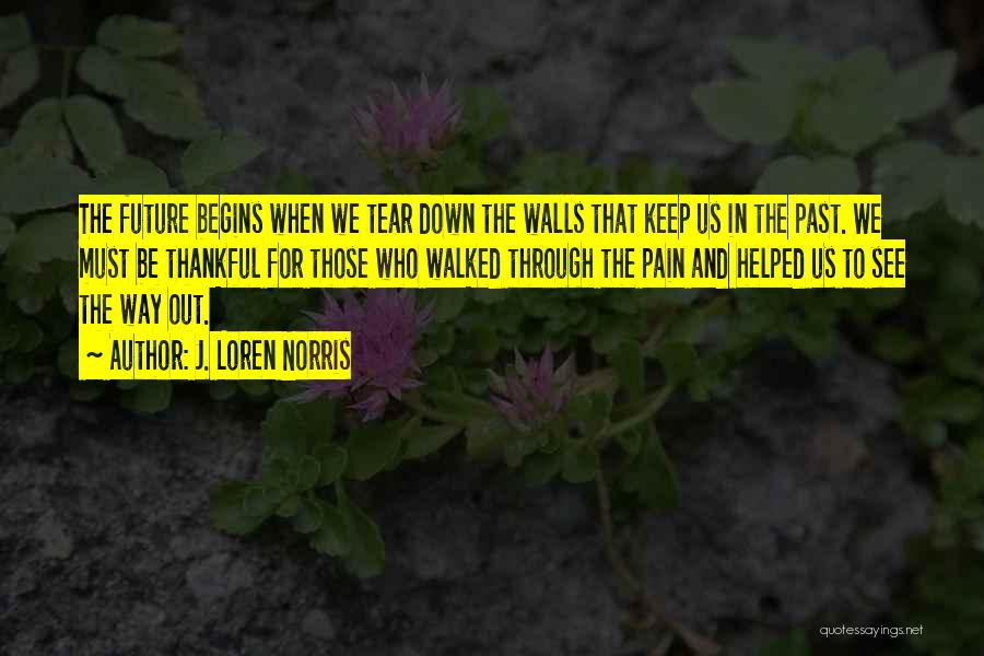 When Life Hurts Quotes By J. Loren Norris