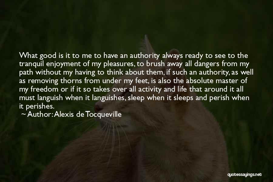 When Life Takes Over Quotes By Alexis De Tocqueville