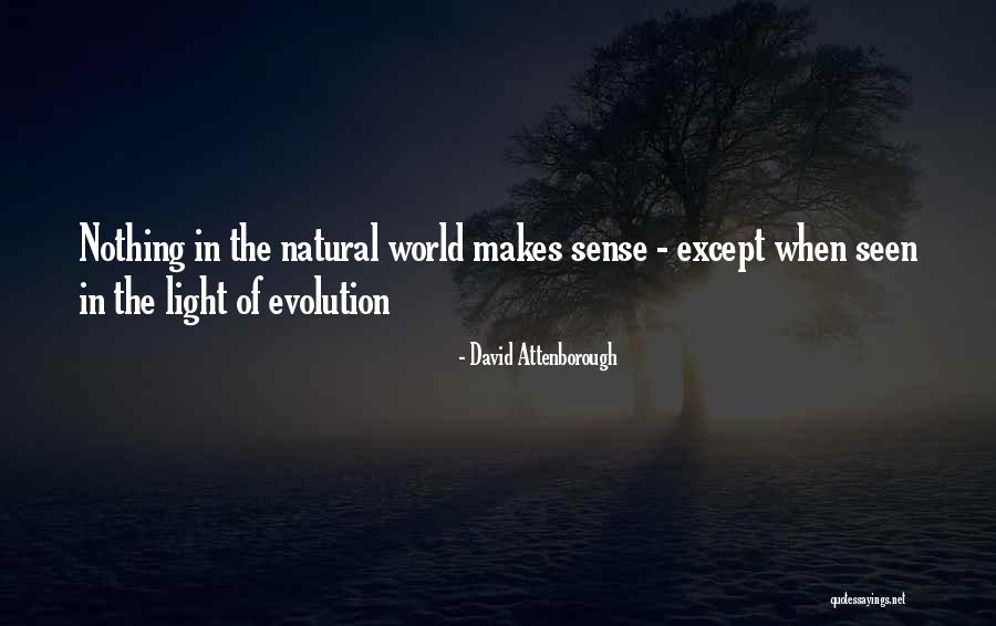 When Nothing Makes Sense Quotes By David Attenborough When Nothing Makes Sense Quotes By David Attenborough