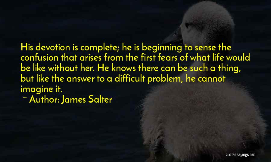 When Problem Arises Quotes By James Salter