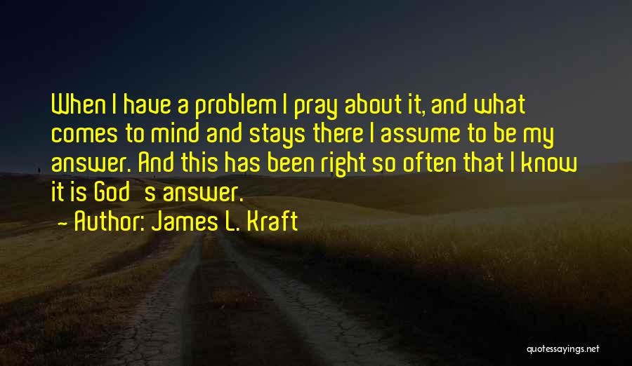 When Problem Comes Quotes By James L. Kraft