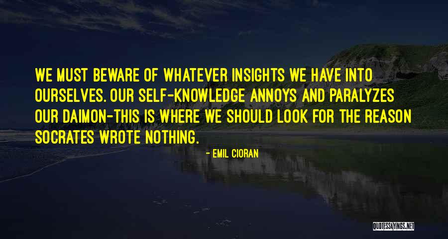 When Someone Annoys You Quotes By Emil Cioran When Someone Annoys You Quotes By Emil Cioran