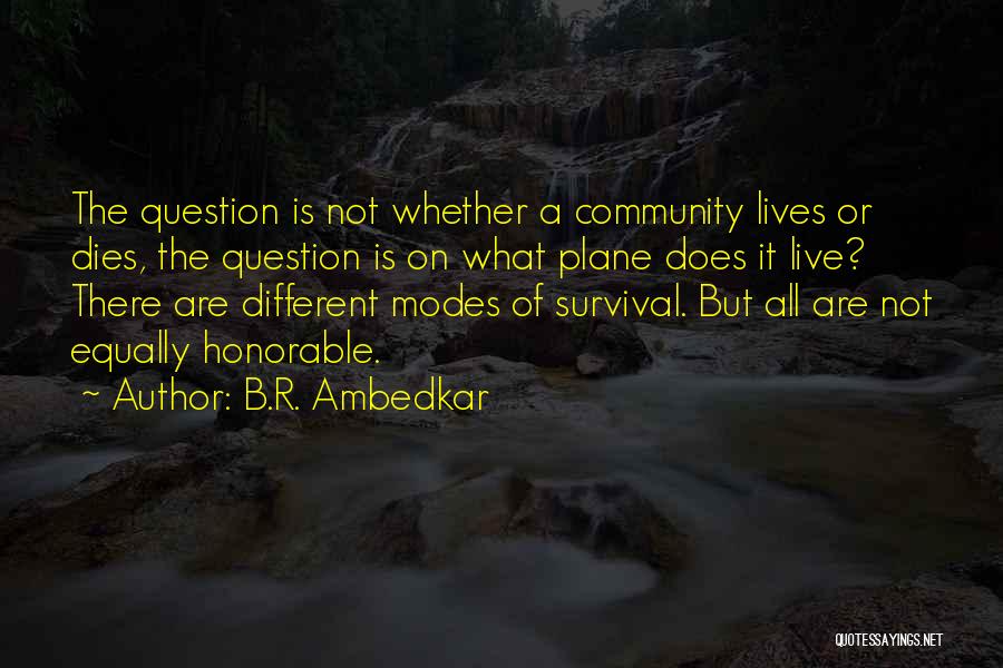 When Someone Dies Inspirational Quotes By B.R. Ambedkar