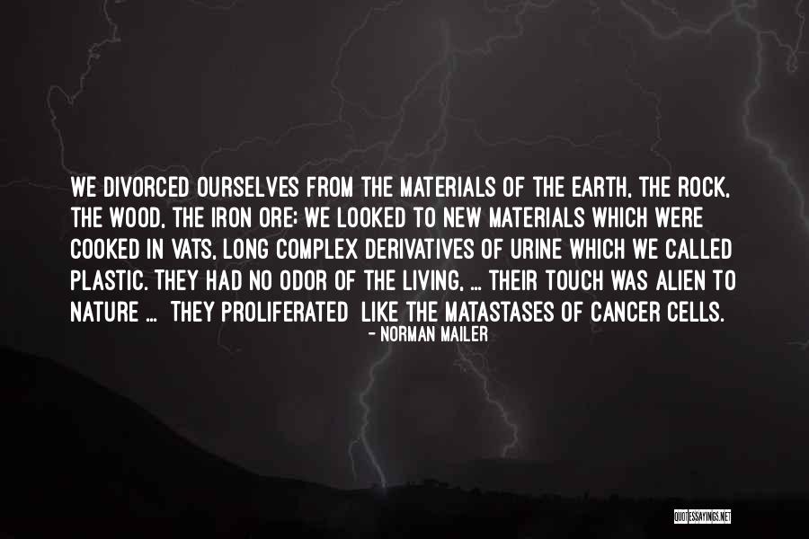When Someone Has Cancer Quotes By Norman Mailer When Someone Has Cancer Quotes By Norman Mailer