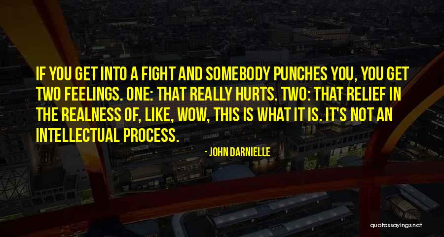 When Someone Hurts Your Feelings Quotes By John Darnielle