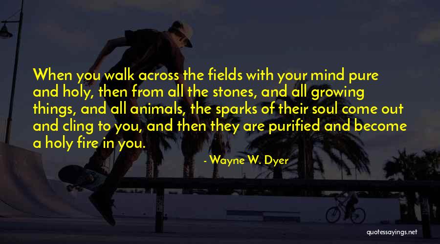 When Someone Sparks Your Soul Quotes By Wayne W. Dyer When Someone Sparks Your Soul Quotes By Wayne W. Dyer